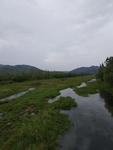 山水