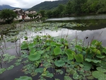 山水