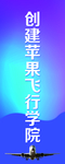 飞行道旗