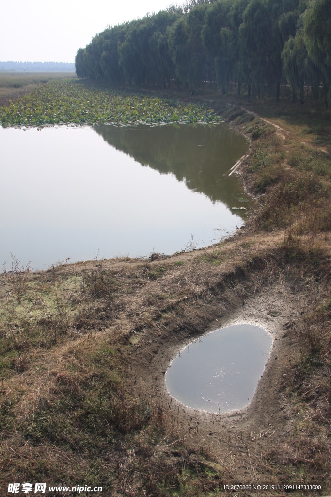 汉石桥湿地公园