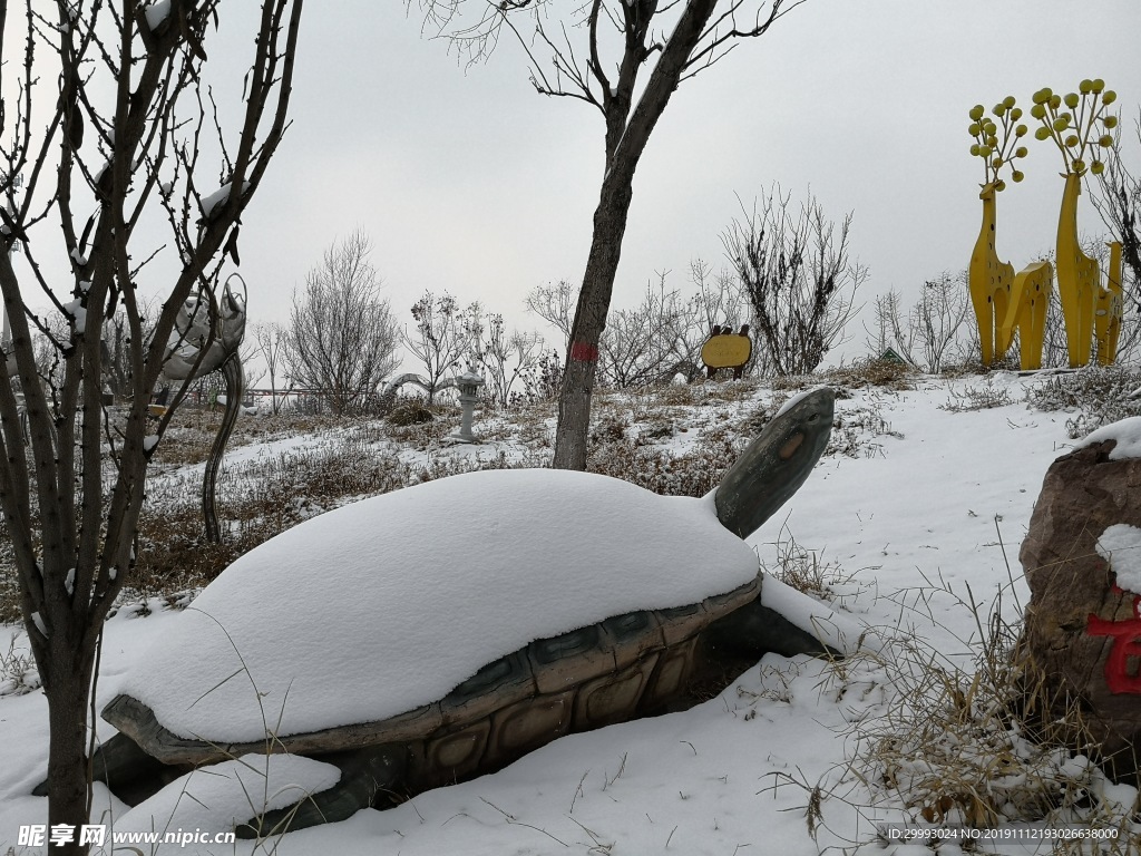 雪景