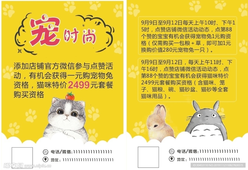 宠物宣传单