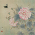 工笔芙蓉花