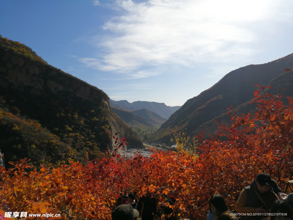 北京坡峰岭的红叶