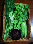 蘸酱菜