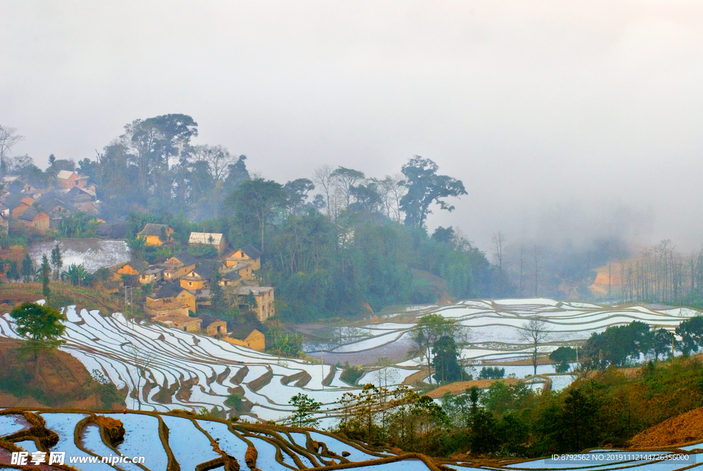 云南 风景 元阳梯田 摄影 自