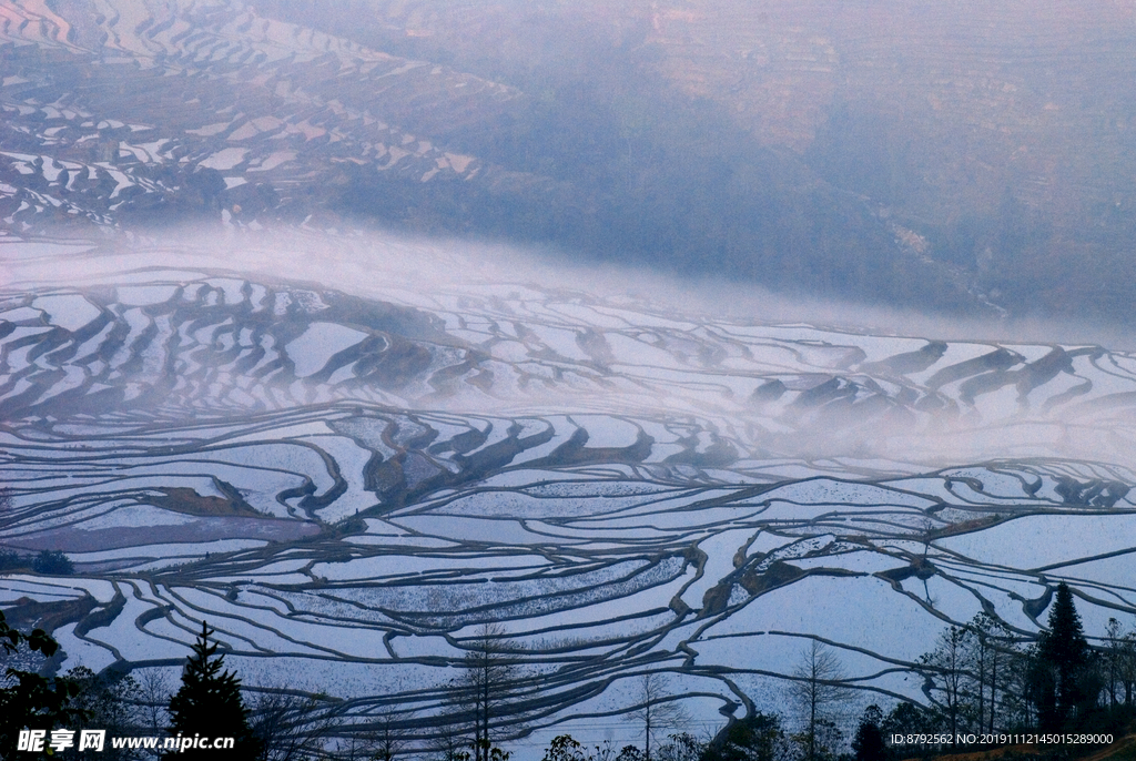 云南 风景 元阳梯田 摄影 自