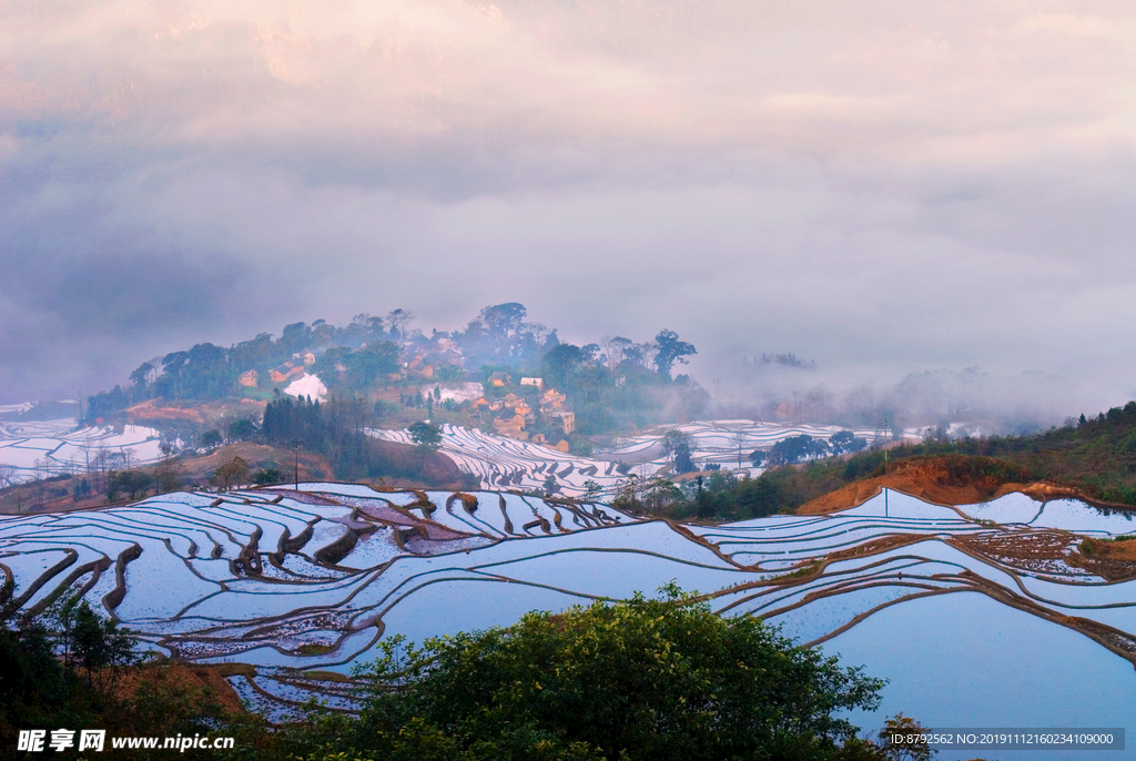 云南 风景 梯田  摄影 自然