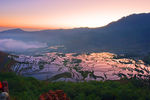 云南 风景 梯田  摄影 自然