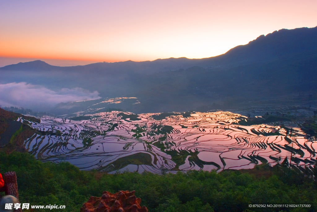 云南 风景 梯田  摄影 自然