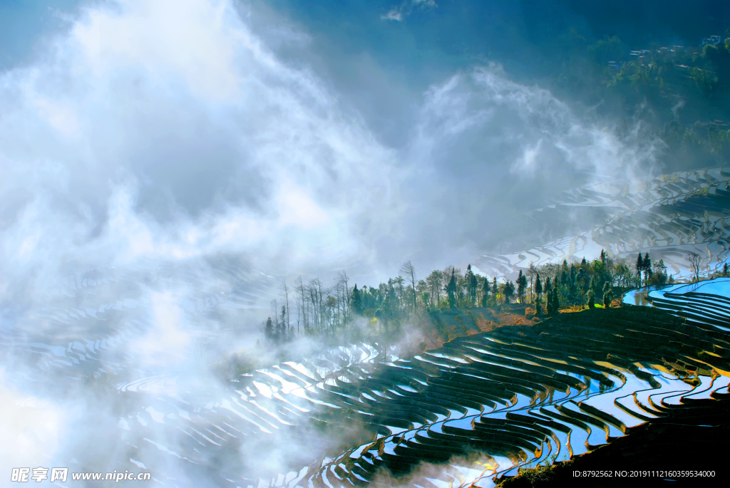 云南 风景 梯田  摄影 自然