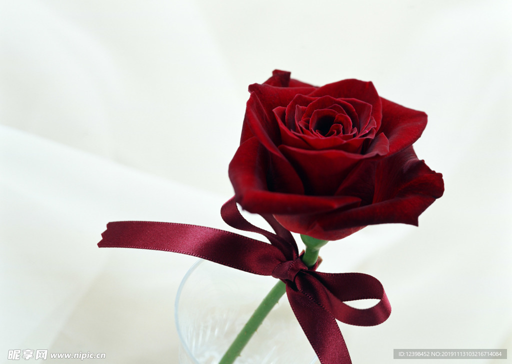 玫瑰花