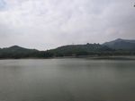 大夫山湖边水景摄影图