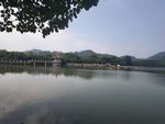 大夫山湖水山景摄影图