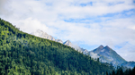 山