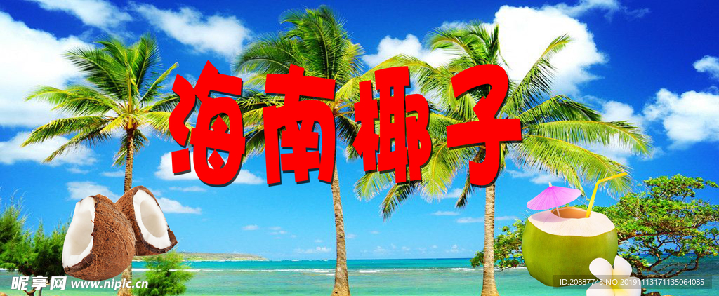 海南椰子