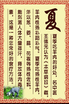 秋天 羊汤 羊汤好处 秋季