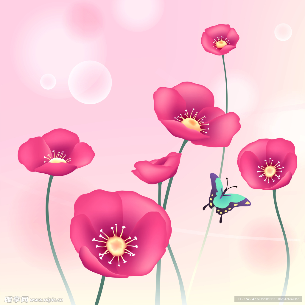 花 蝴蝶