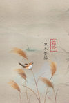 秋分背景