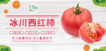 西红柿banner