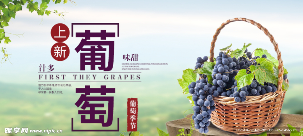 葡萄banner