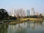 城市公园