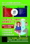 减肥单页