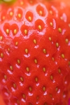 草莓