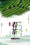 茶叶海报