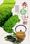 茶叶海报