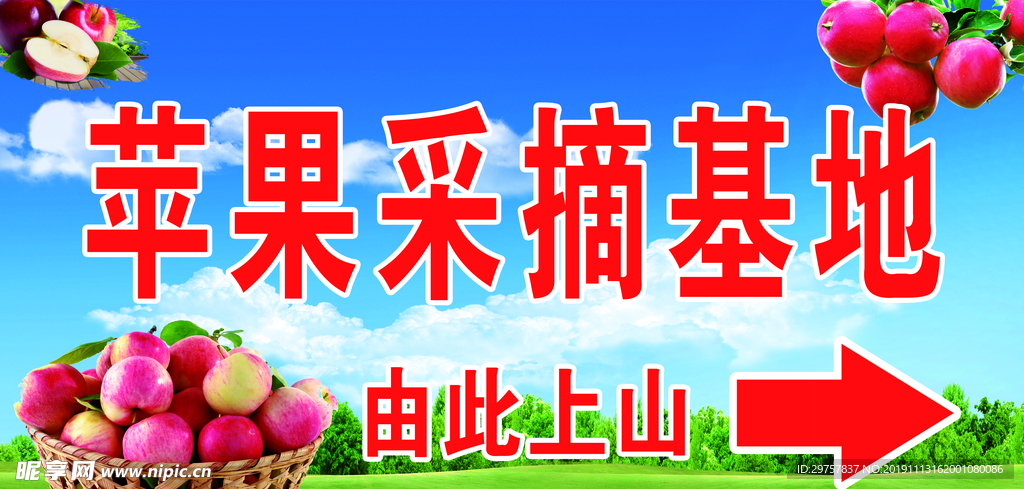 苹果采摘基地