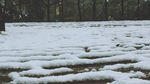 雪