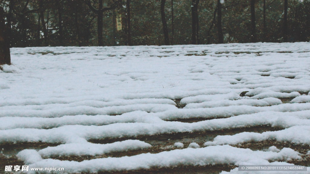 雪