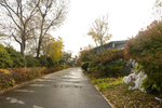 公园小路