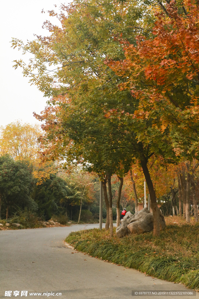 公园小路秋意