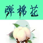 弹棉花