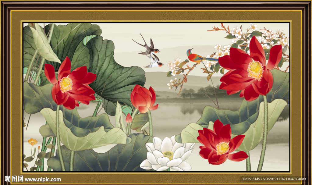 荷花