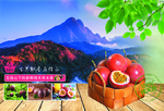 百香果