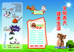 文明养犬健康生活