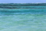 海水