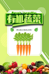 青菜 有机蔬菜  蔬菜大图