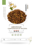 中药金银花海报