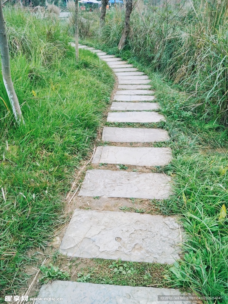 路 石头路 小路 桤木河湿地