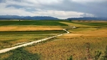 路田风景