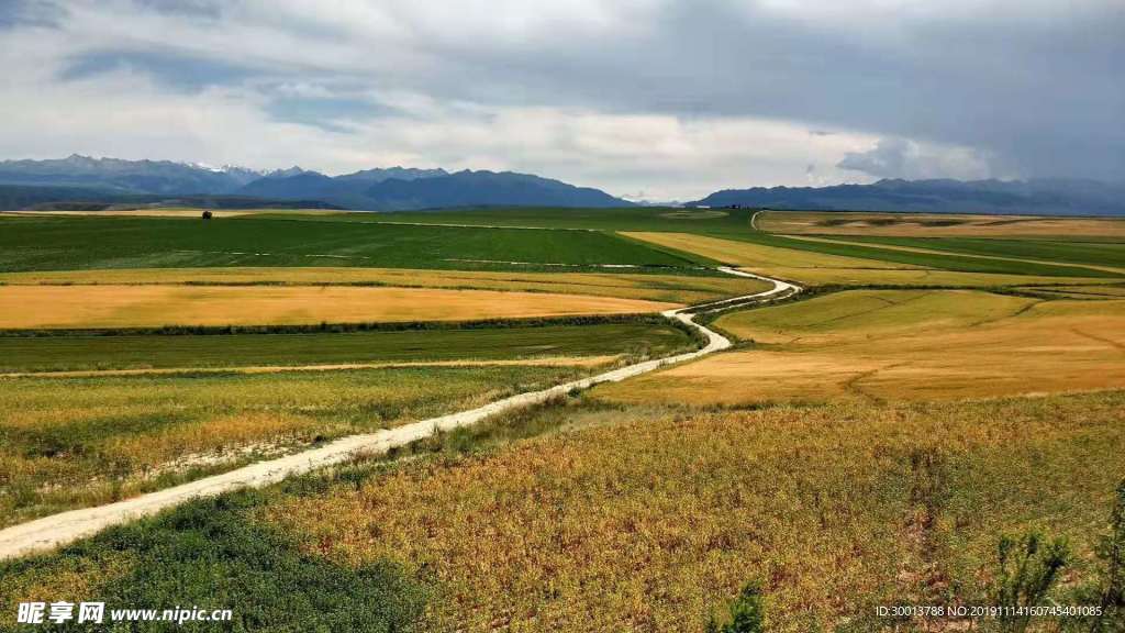 路田风景