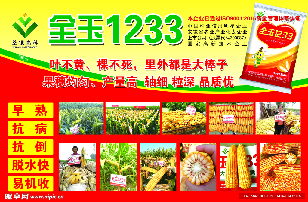 全玉1233
