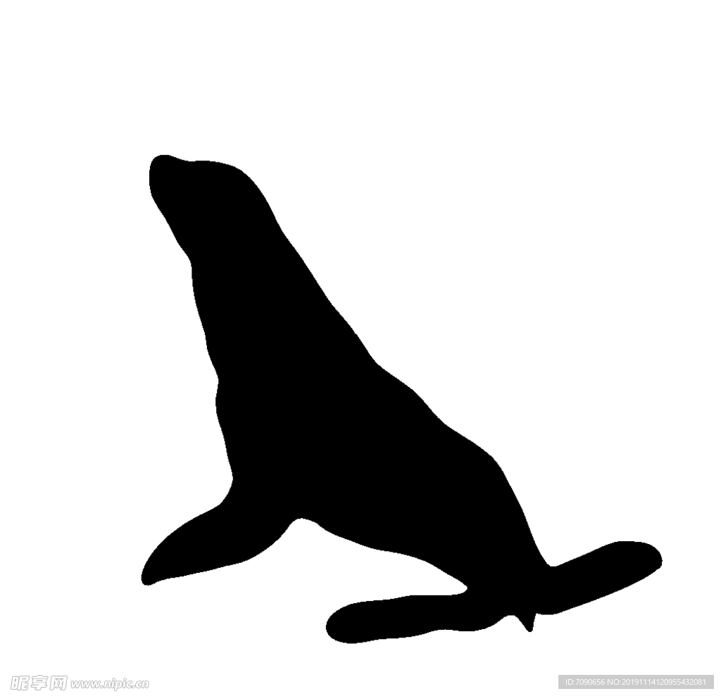 海洋生物剪影