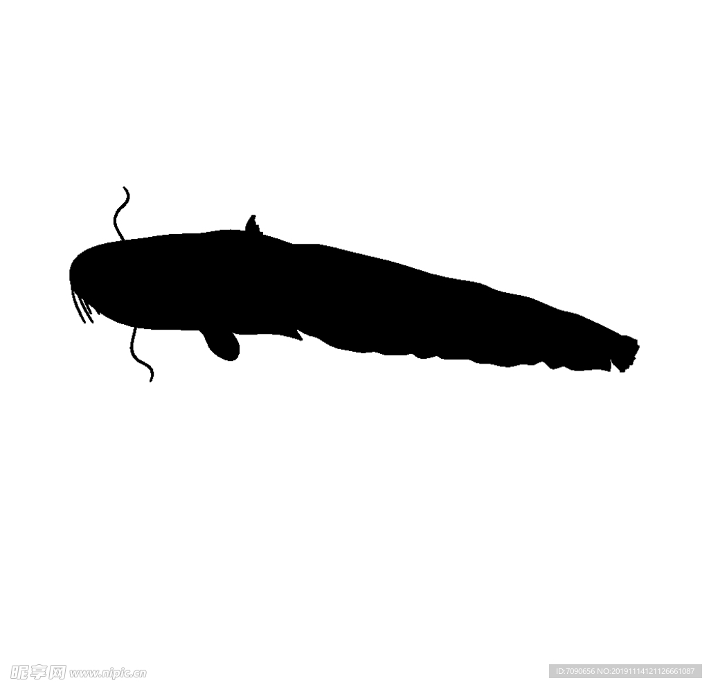 海洋生物剪影