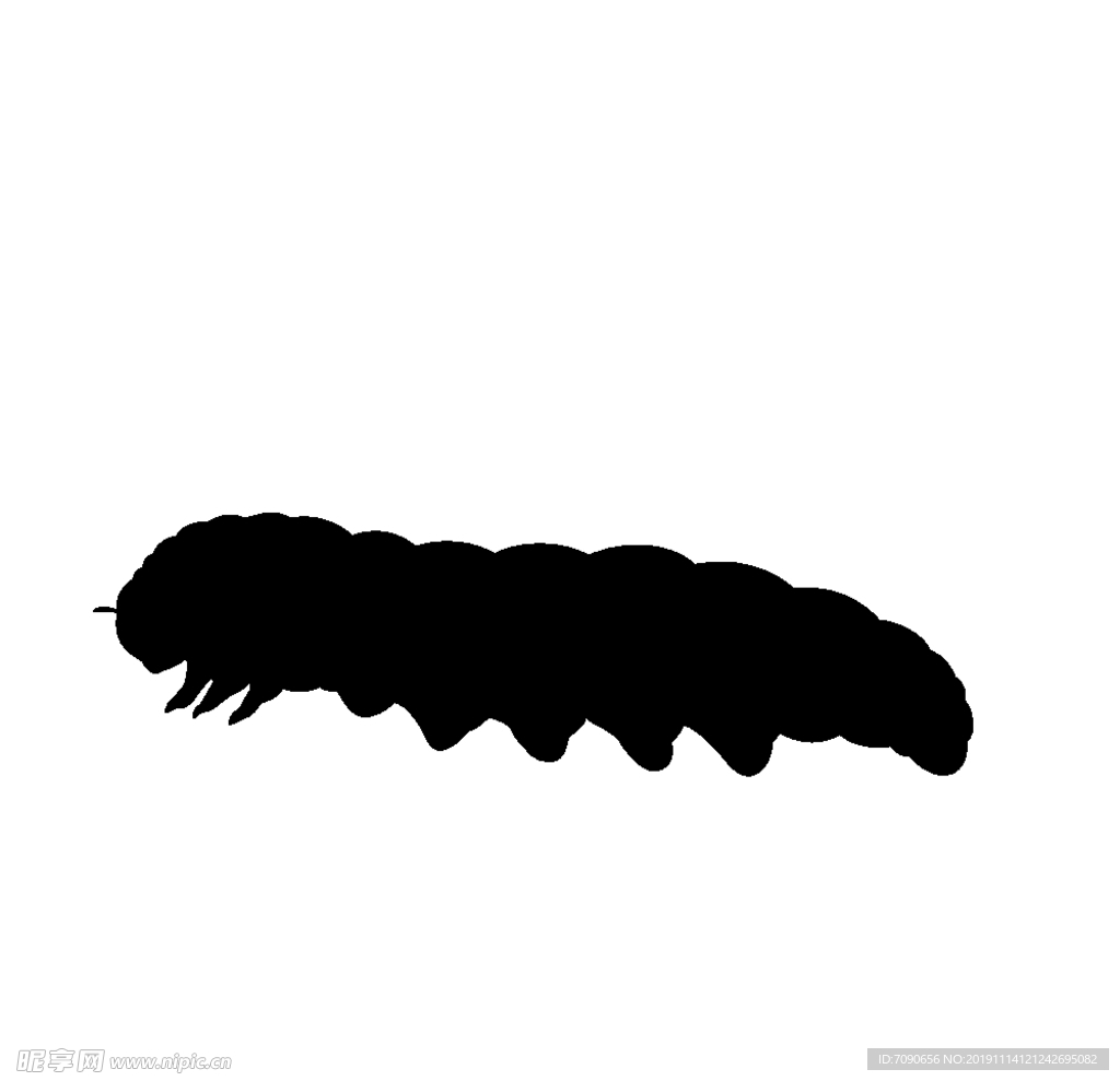 昆虫剪影