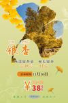 旅游海报银杏